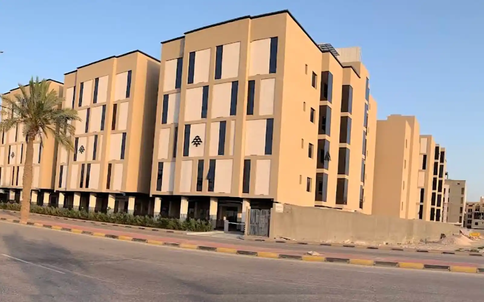 الصورة